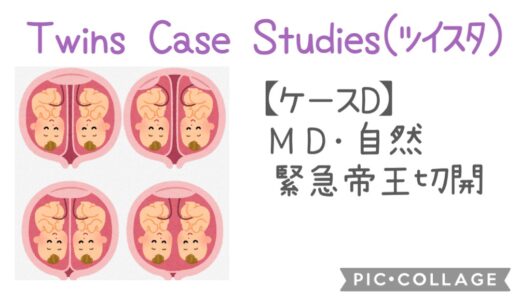 Twins Case Studies：ケースD