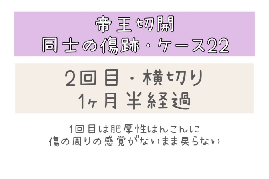 同士の傷跡ケース22・1ヶ月半