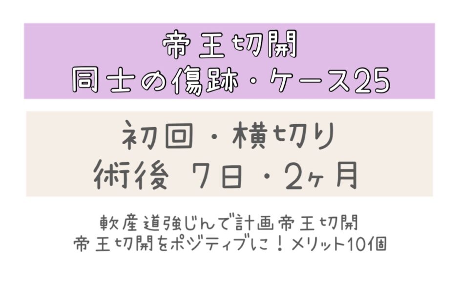 同士の傷跡25・7日と2ヶ月