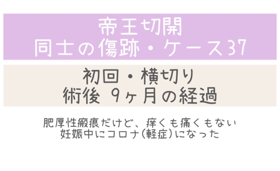 同士の傷跡37・9ヶ月