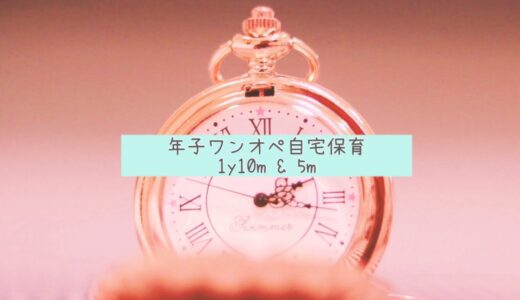 年子育児 自宅保育のワンオペ デイリースケジュール・1y10ｍ＆5m