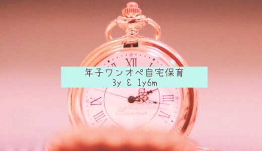 年子育児 自宅保育のワンオペ デイリースケジュール・3y＆1y6m