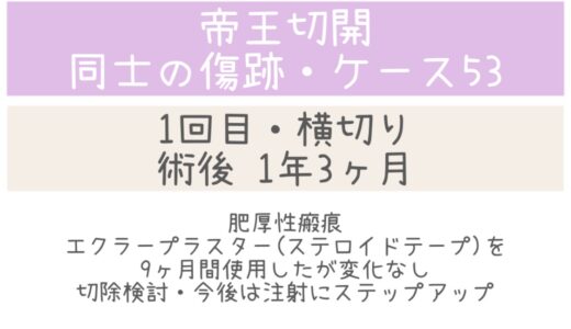 同士の傷跡53・1年3ヶ月