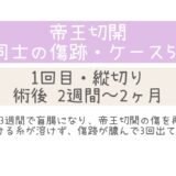 同士の傷跡51・2週間～2ヶ月