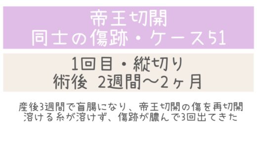 同士の傷跡51・2週間～2ヶ月