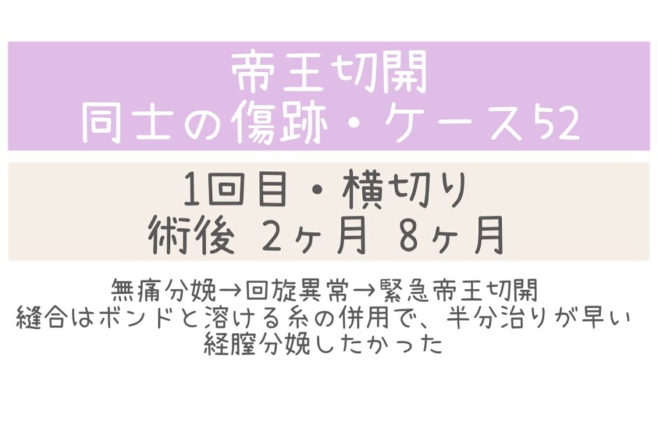 同士の傷跡52・2～8ヶ月