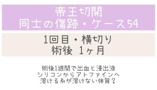 同士の傷跡54・1ヶ月