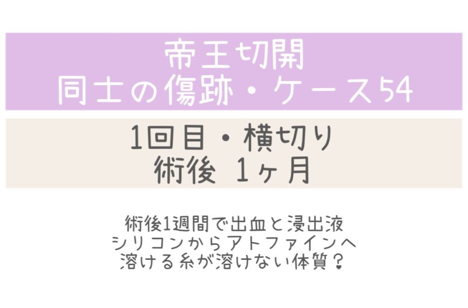 同士の傷跡54・1ヶ月