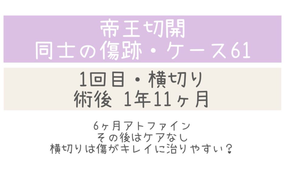 同士の傷跡61・1年11ヶ月