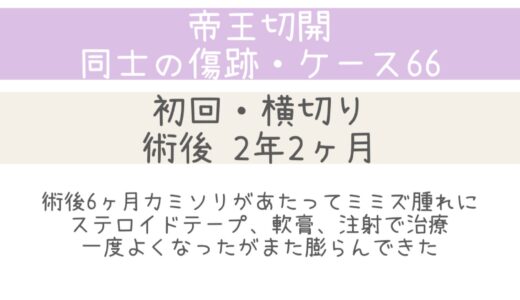 同士の傷跡～ケース66